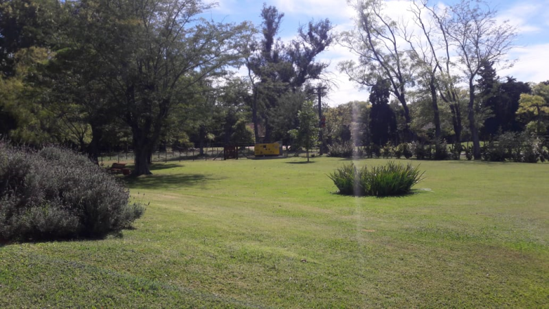 VENTA DE CASA QUINTA " LA ALAMEDA" CARMEN DE ARECO