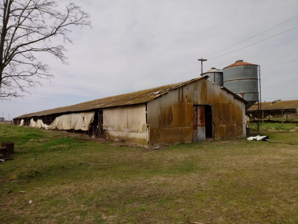 venta de granja en Rawson (Chacabuco)