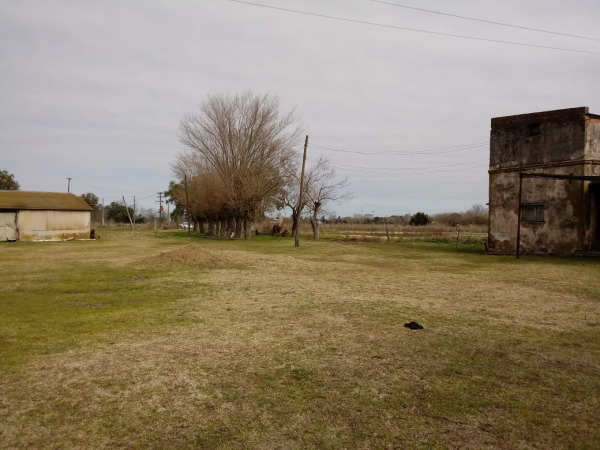 venta de granja en Rawson (Chacabuco)