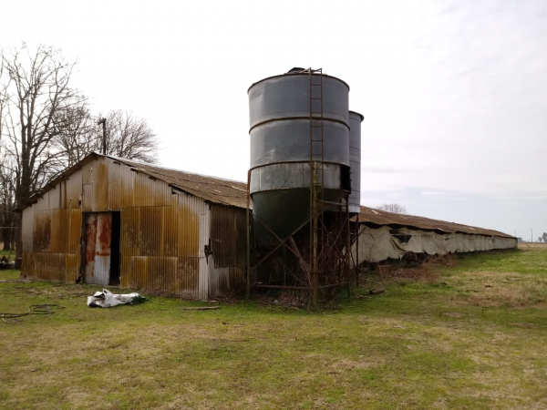 venta de granja en Rawson (Chacabuco)