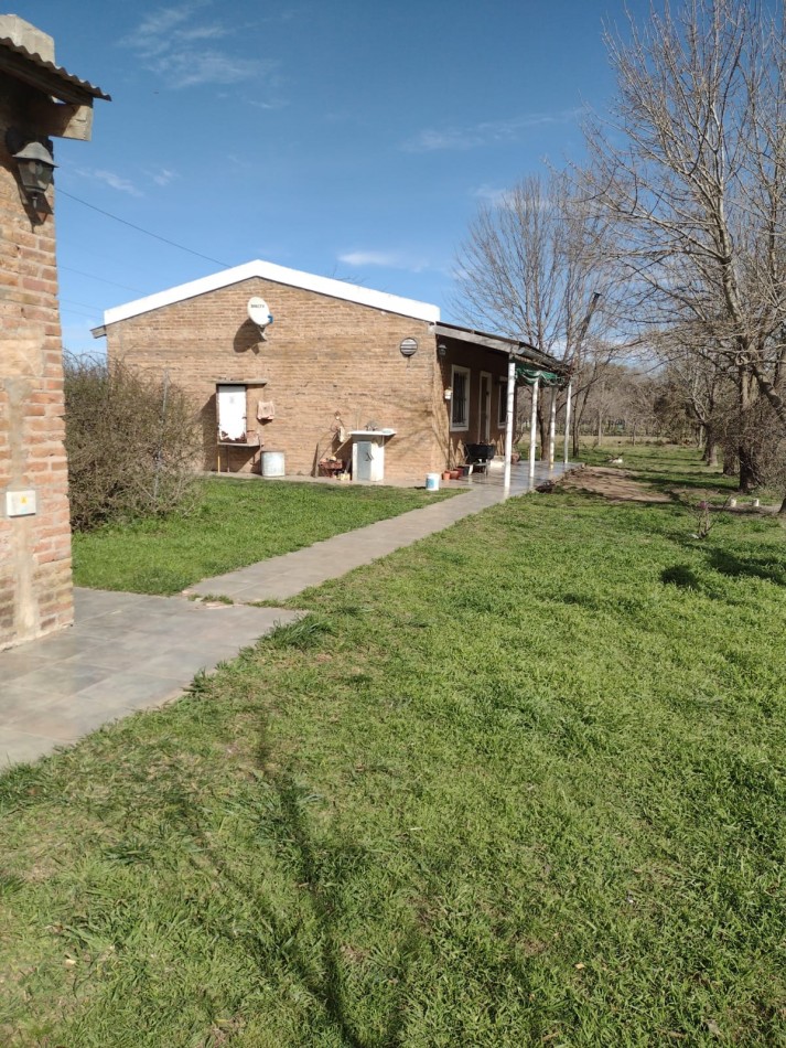 VENTA DE GRANJA AVICOLA EN CARMEN DE ARECO