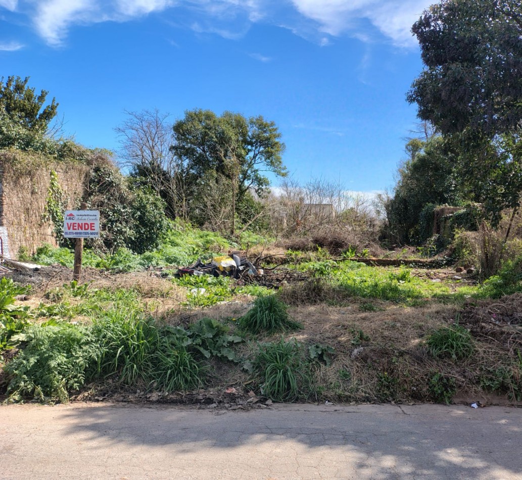 VENTA DE AMPLIO TERRENO EN ZONA CENTRICA DE CARMEN DE ARECO