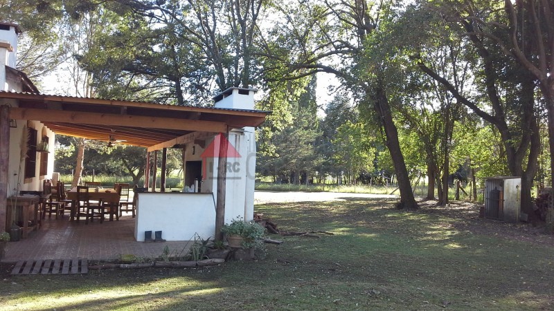 venta de 6 hectareas en Carmen de Areco