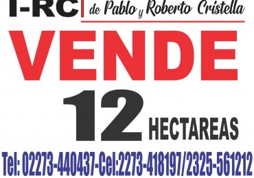 Venta de 12 Hectareas 