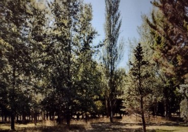 TERRENO EN BARRIO CERRADO