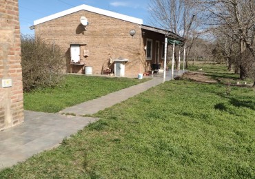 VENTA DE GRANJA AVICOLA EN CARMEN DE ARECO