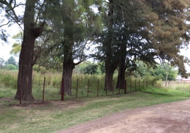 VENTA DE QUINTA CON ARBOLES EN CARMEN DE ARECO