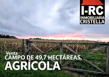 VENTA DE CAMPO AGRICOLA EN CARMEN DE ARECO